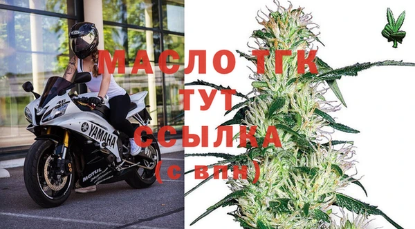 молекула духа Зеленодольск